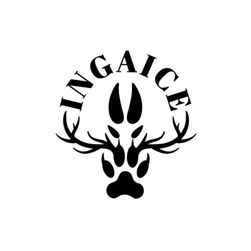 インガイスシステムイメージ