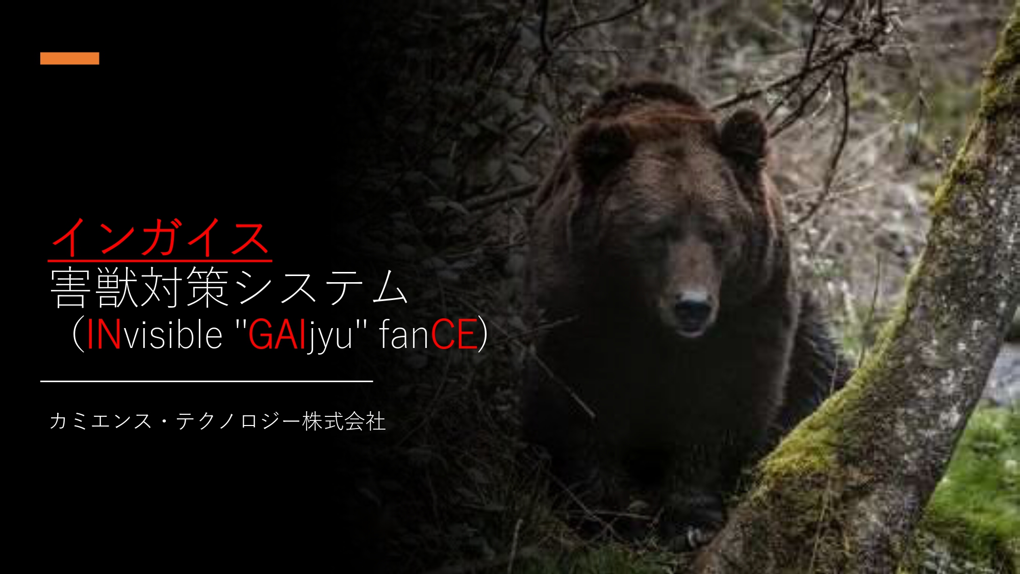 インガイスのラインナップ